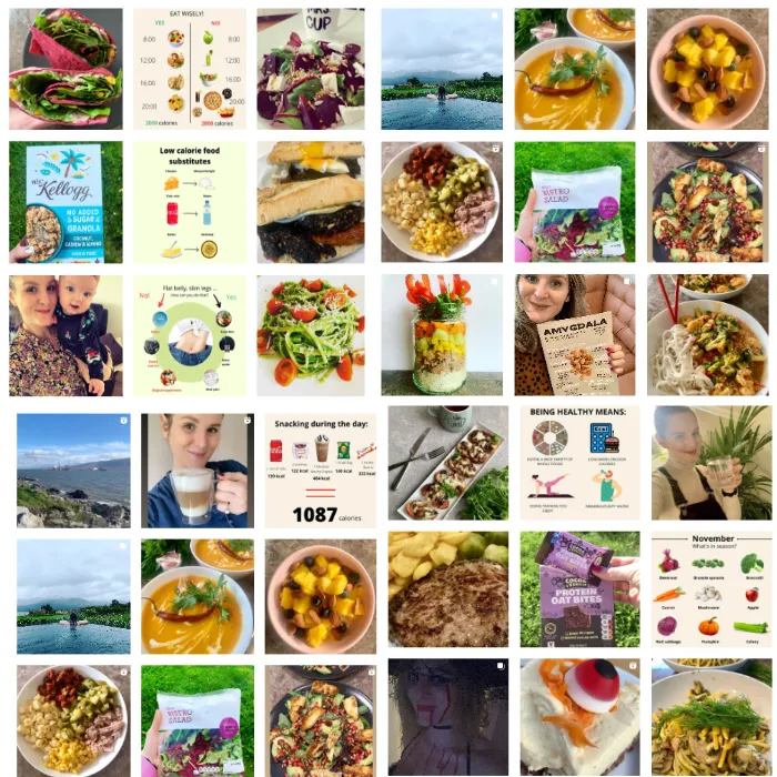 A collage of photos from instagram lovemydiet.ie.